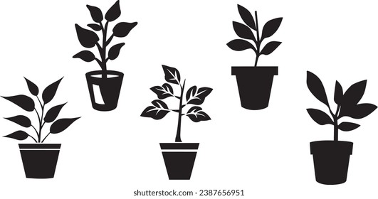 Set of potted plant silhouettes. Potted plant icons set. Potted plant vector illustrations set.