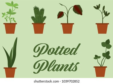 Set of potted plants