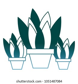 set of potted plants