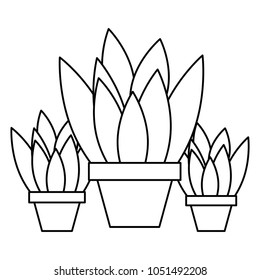 set of potted plants