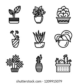 Set Of Potted Plants 