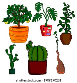 Un conjunto de macetas. Ilustración dibujada a mano por un vector de color sobre un fondo blanco. Adecuado para postales, afiches, insignia, logotipo, pegatina, impresión.