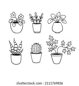 Set of potted plants. Cute hand drawn set of flowers pots. Doodle illustration house plants for wedding design, logo and greeting card. Isolated on white background.