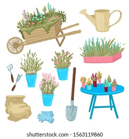 Set of a potted plants flowers and grass. Equipment for gardening, shovel, rake and gloves. Garden tools. Isolated objects on white background. Flat style cartoon drawing.