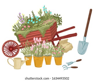 Set of a potted plants flowers and grass. Shovel and rake behind. Garden tools. Isolated objects on white background. Flat style cartoon drawing.
