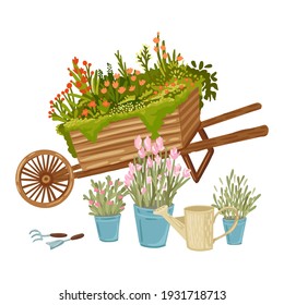 Set of a potted plants: flowers and grass. Vector isolated illustration. Cartoon flat style.