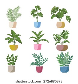 Conjunto de plantas y flores en maceta. Iconos aislados sobre fondo blanco. Ilustración vectorial.