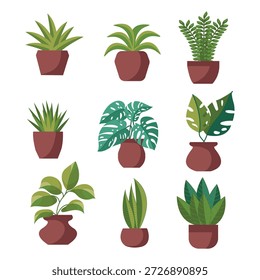 Conjunto de plantas y flores en maceta. Iconos aislados sobre fondo blanco. Ilustración vectorial.