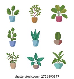 Conjunto de plantas y flores en maceta. Iconos aislados sobre fondo blanco. Ilustración vectorial.