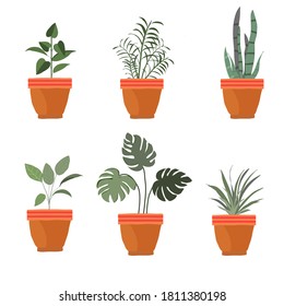 Set of potted plants. isolated cute house indoor plant vector. Hand drawn. illustrations of succulents in pots and with plants on white background.
