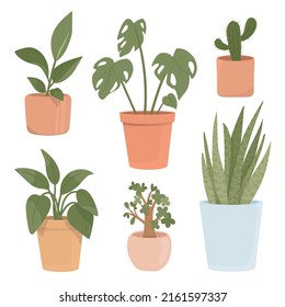 Set of potted plants isolated on white background. illustration of flowering pots
