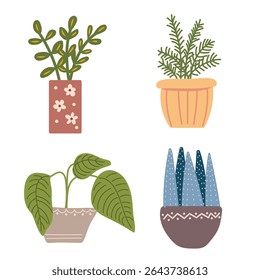 Set of potted plants. Office plants in pots.
