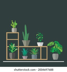 Set of potted plants on wooden cabinet