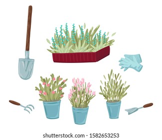 Set of potted plants with shovel, rake and gloves. Vector cute illustration. Isolated objects. Flat cartoon style.