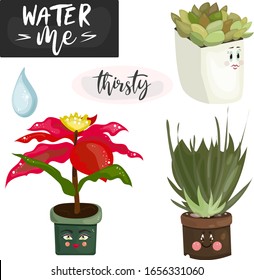 Set of potted plants that has to be watered and thirsty including succulent, Poinsettia and aloe vera