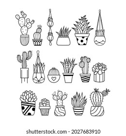 Set of potted plants, vector home plants illustration