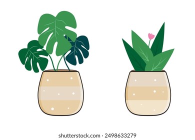 Set of Potted Plants Vector Illustration