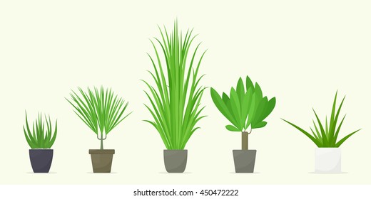 Set potted plants. Vector illustration isolated on white background