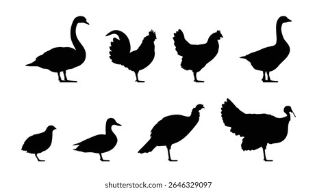 Set of poultry bird silhouettes vector design