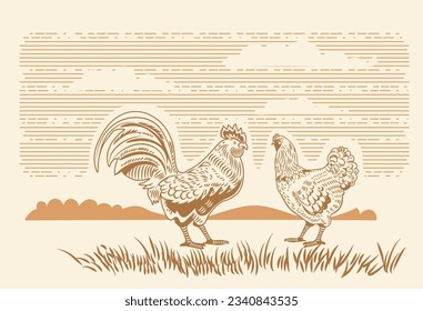 Set of poultry farm birds. Rooster cock with hen isolated on background. Chicken family