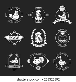 Set of poultry farm logo, emblem. Chicken, turkey, goose, duck.