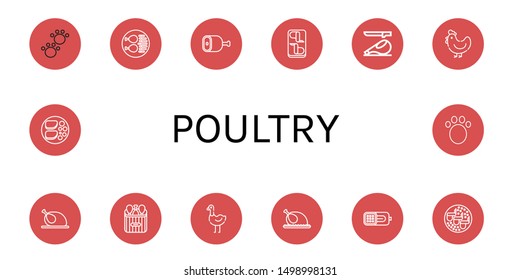 Set of poultry icons such as Animal, Chicken leg, Ham, Chicken wings, Hen, Chicken, Ostrich, breast , poultry