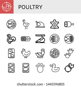 Set of poultry icons such as Duck, Chicken breast, Ostrich, Chicken, Animal, Ham, Rooster, Meat, Chicken leg, wings, Hen , poultry
