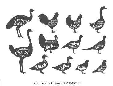 Set of poultry labels templates.