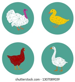 set poultry modern icon vector eps 10