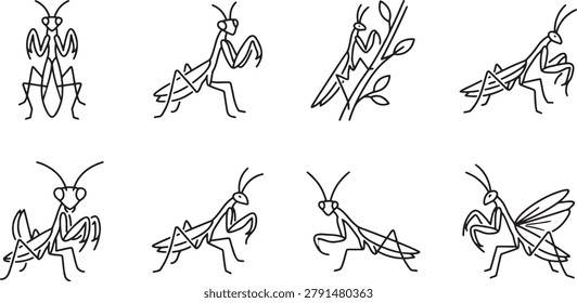 Set of praying mantis in different stances