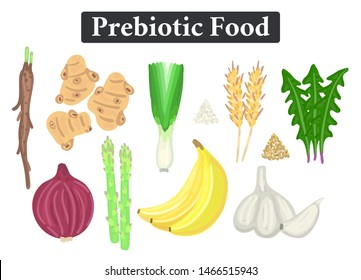 Set of prebiotic food. Nutrition. Nondigestible fibers. Healthy supplement. Chicory root, dandelion greens, jerusalem artichoke, garlic, onions, leeks, asparagus, bananas, wheat bran and flour. Vector