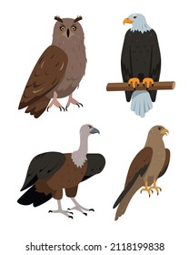 Set of predatory birds icons. Owl, eagle, kite or hawk and vulture bird in different poses isolated. Nature and wildlife, birdwatching and ornithology design. Vector cartoon or flat illustration.