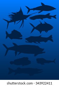 set of predatory fish