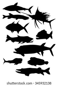 set of predatory fish