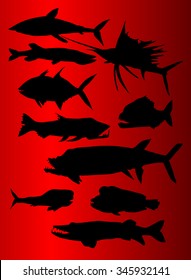 set of predatory fish