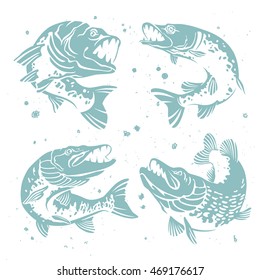 Set of predatory pike. The stylized image of fish. Vector illustration on white background with paint splashes. Concept design for fishing.