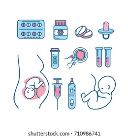 set pregnancy fertilization process to biology reproduction