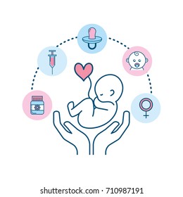 set pregnancy fertilization process to biology reproduction