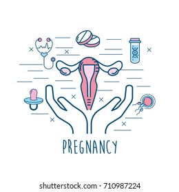 set pregnancy fertilization process to biology reproduction