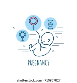 set pregnancy fertilization process to biology reproduction