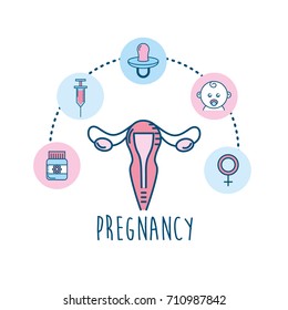 set pregnancy fertilization process to biology reproduction