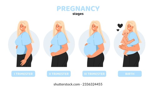 Konzept der Schwangerschaftsstadien. Medizinische Infografiken und Lehrmaterialien. Anatomie und Biologie. Kindheit und Elternschaft. Cartoon-FlachVektorgrafik, einzeln auf weißem Hintergrund