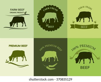 Set of premium beef labels, badges, logo, icons.Meat labels and badges in Vintage, Flat Style.