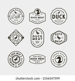 set of premium fresh duck meat labels. retro styled meat shop emblems, badges, design elements, logotype templates. vector illustration