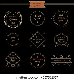 Set of premium quality vintage style elements for  labels and badges vector design