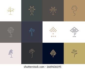 set of Premium tree logo design. Abstract tree icon vector illustration