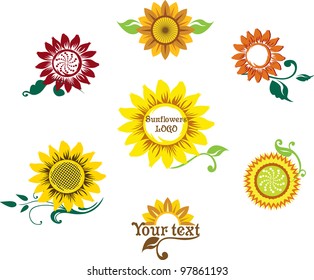 set prepared for the logo depicting a stylized sunflower