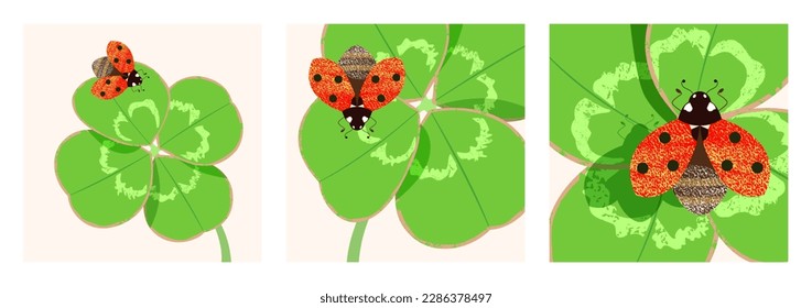 Mit hübschen roten Ladybirds auf grünen vierblättrigen Kleeblättern als Symbol für Glück und Glück. Drei quadratische Vektorgrafik-Karten in verschiedenen Größen mit Texturen . 