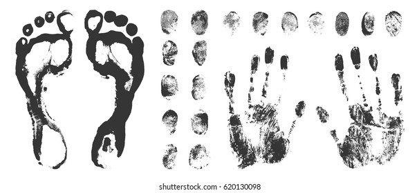 Set of a print a human finger handprint and footprint. Black ink fingerprints on white background in vector. 