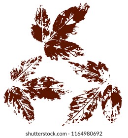 Set of print leaves